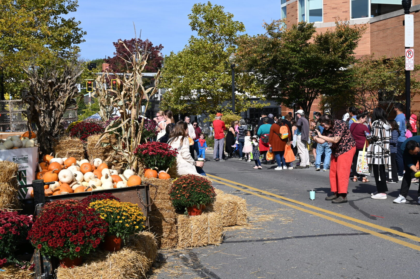 State College - Overview