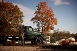 State College - maylath farm