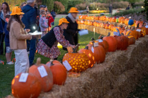 Arboretum’s Pumpkin Fest Brings Community Together to Celebrate Fall