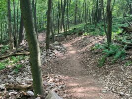 State College - Trail Tread Pic