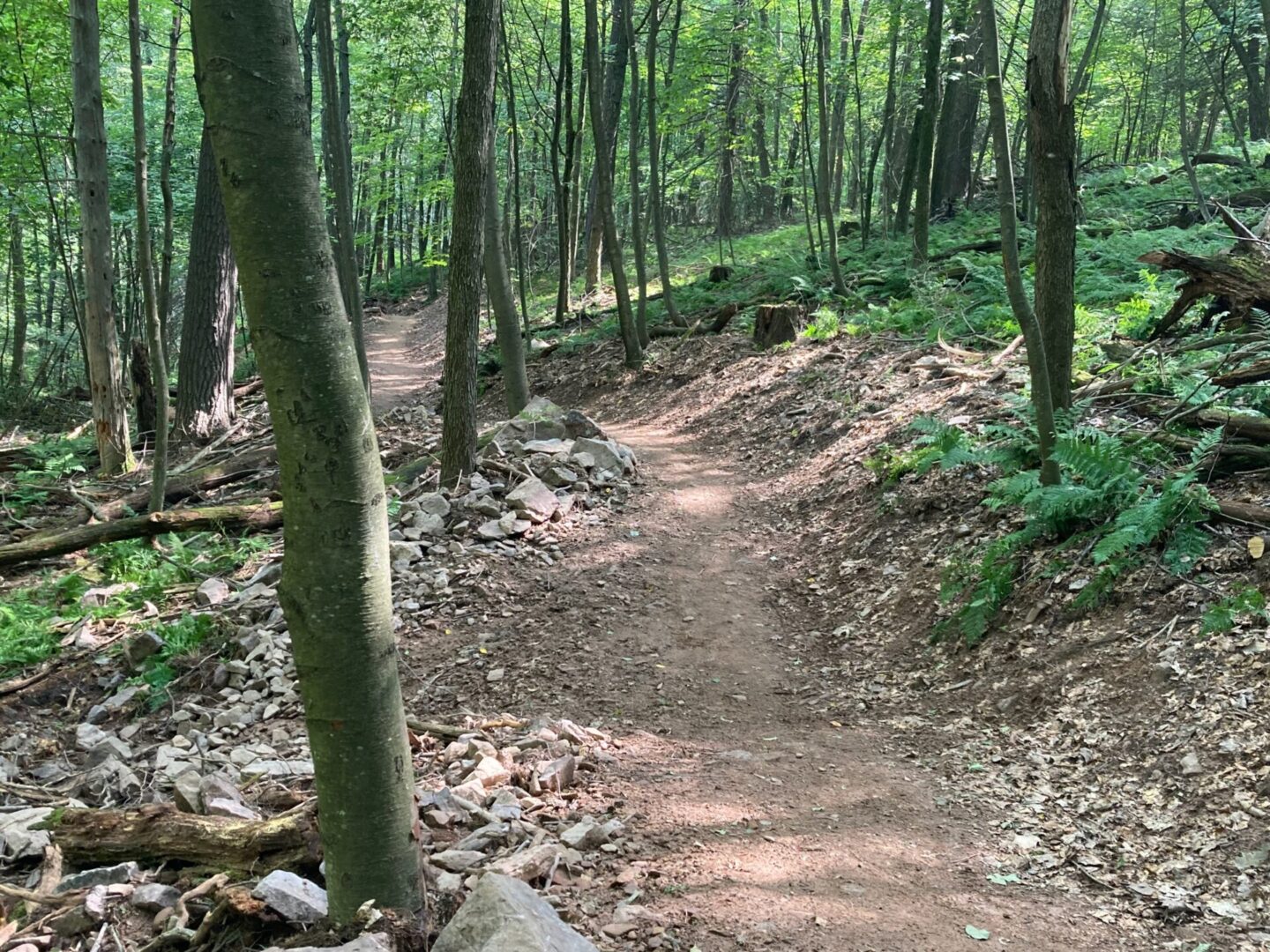 State College - Trail Tread Pic