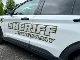Centre County Men Charged With Animal Cruelty After Cat Had to Be Euthanized Because of Untreated Severe Infection