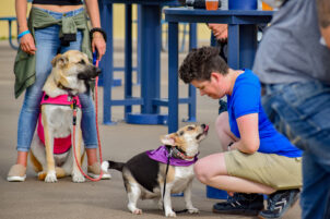 Centre County Dog-Friendly Establishments Welcome Humans and Their Four-Legged Friends
