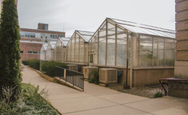 Buckhout Greenhouse: Oasis of Plant Life