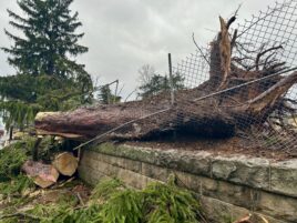 NWS: Downburst Caused Line of Damage During Severe Storm in Centre County