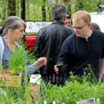 Central Pennsylvania Native Plant Festival and Sale Returns to Millbrook Marsh