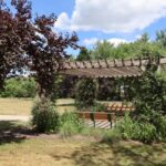 Ferguson Township to Host Arbor Day Celebration