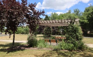 Ferguson Township to Host Arbor Day Celebration