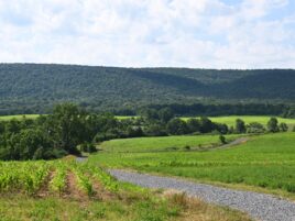 Birding Cup to benefit local grassland habitat
