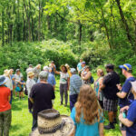 Step Into Serenity: Centred Outdoors Kicks Off Another Season of Wellness