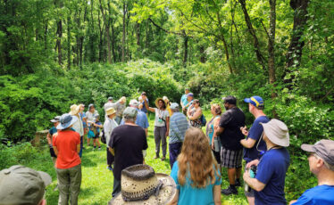 Step Into Serenity: Centred Outdoors Kicks Off Another Season of Wellness