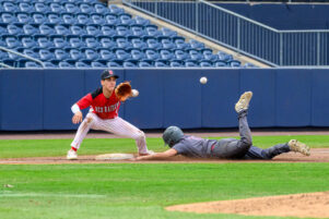 Centre County baseball teams shine on the diamond