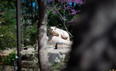 Penn State Faculty Senate Pushes Back on Campus Closures, Calls for ‘Detailed, Public Assessment’