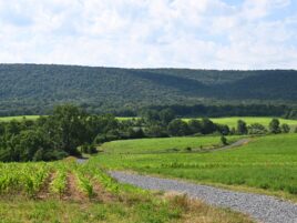 Birding Cup to Benefit Local Grassland Habitat