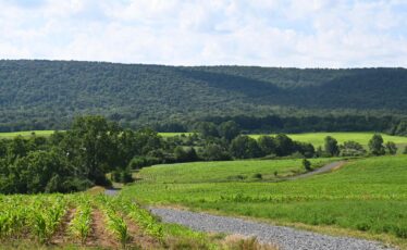 Birding Cup to Benefit Local Grassland Habitat