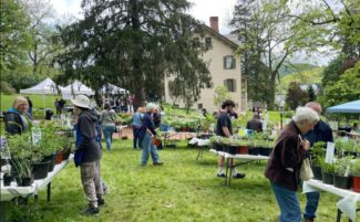 Centre Furnace Mansion to Host Plant Celebration