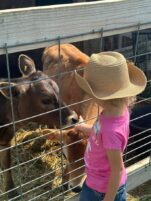 Summer fun on the farm 