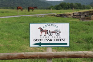 Centre County Cheesemaker Earns National Honors