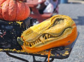 A pumpkin lover’s guide to fall in Happy Valley