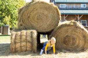 Fall festivals and fun on the farm
