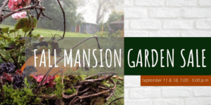 MANSION GARDEN SALE (6)