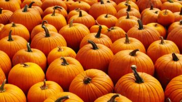 Pumpkin spice now costs more – but we’re still buying