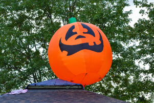 Fall Festivals
