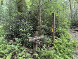 A Bear Meadows Fen-way