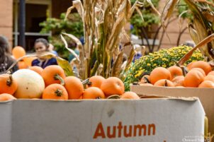 Fall Fest Returns to Downtown State College