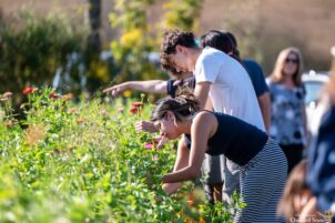 Penn State Student Farm Hosts 10th Annual Harvest Fest