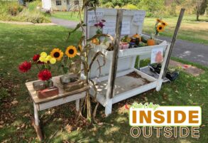 Inside/Outside State College: The Special Joy of Honor-System Stands