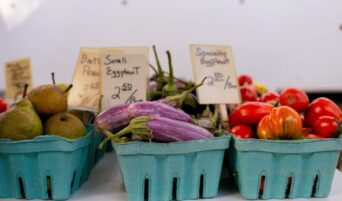 Judges Order Trump Administration to Fund SNAP Payments During Shutdown