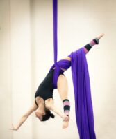 Two-day Circus Intensive Silks workshop available
