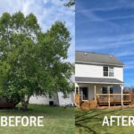 Hook: Our Tree Removal Conundrum