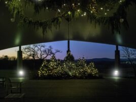 Winter’s Glow Returns to Penn State Arboretum