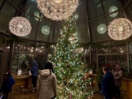 Arboretum at Penn State Lights Up With ‘Winter’s Glow’