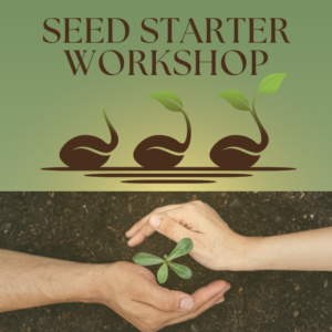 Seed Starter