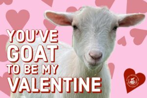 625894059_1217213027222964_3479216391081452804_n