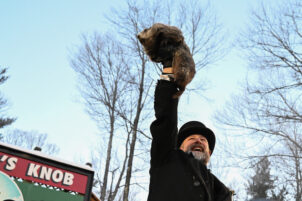 Punxsutawney Phil Is Said to Have Seen His Shadow, Forecasting 6 More Weeks of Wintry Weather
