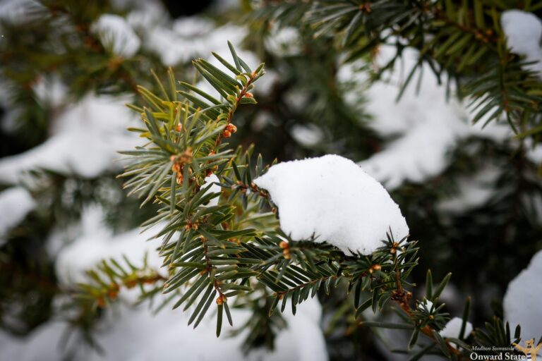 Winter Storm Warning Issued for Centre County