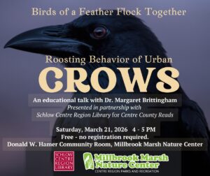 Crow Talk