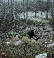 Applications now open for Images 2026 Exhibition