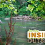 Inside/Outside State College: A Trout Fisherman’s Soul