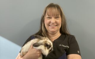 Valley View Veterinary Care to Open Doors in Centre Hall