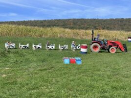 Roots and Rise: Living Faith Acres to Host Spring Farm Event in Spring Mills