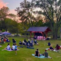 Lemont Village Assoc. announces free summer concert schedule