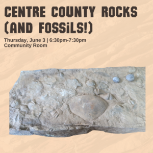 Rocks and Fossils