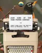 Bird of the Year Poetry contest entries due