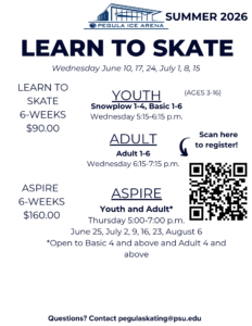 Copy of Copy of Learn to Skate Flyer 8.5×11 (12)