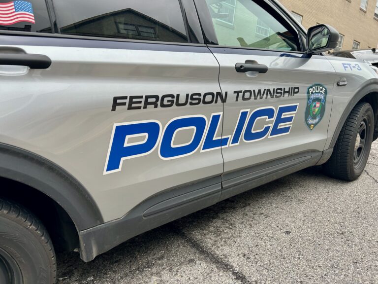 Former Director of Ferguson Township Daycare Charged With Child Endangerment